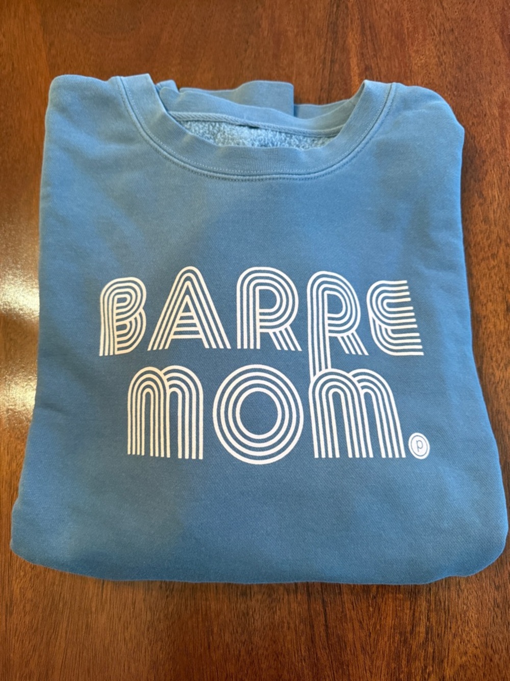 Pure Barre Blue Graphic Sweatshirt Soft Oversized NWT